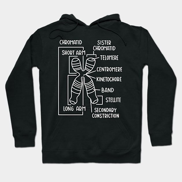 Hand Drawn Chromosome Labeled White Hoodie by Sofia Sava